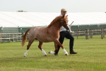 SBM_00434
