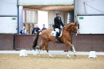SBM_001010