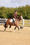 SBM_009381