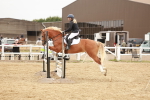 SBM_008343