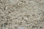 230504A-142022-02010