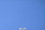 260704A-163158-16206