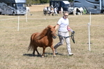 WJ6_9216