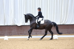 SBM_008774