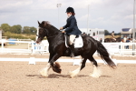 SBM_06212