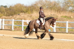 SBM_003479