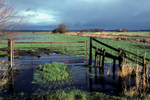 Somerset Levels NNR