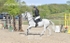 BPP_3310
