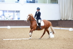 SBM_000683