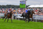 230823-Race 4-Mostahdaf-0588