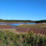 Shipwrecks of the Musquash Inner Estuary - 2
