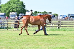 SBM_12874