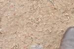230511A-161900-01332