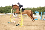 SBM_026895