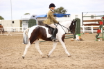 SBM_03648