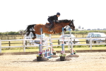 SBM_004491