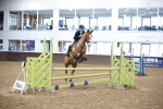 SBM_001774