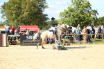 SBM_39352