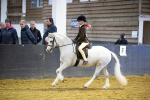 SBM_008966