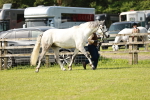 SBM_01662