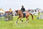 BPP_6927