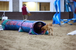 SBM_006533