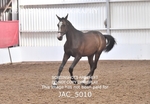 JAC_5010