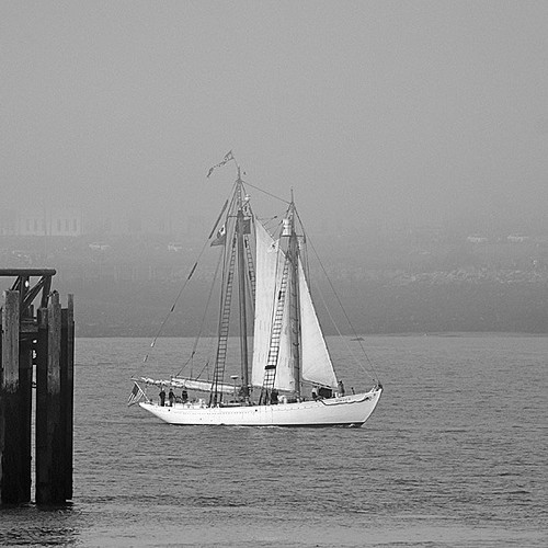 Bowdoin Tall Ships Rendezvous 2017 Saint John New Brunswick Canada