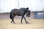 SBM_5726