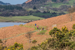 Buttermere-696