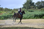 WJ5_2014