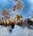 Snow storm