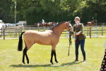 SBM_05587