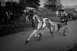 Appleby 006