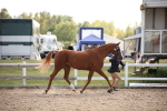 SBM_07066