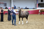 SBM_17452