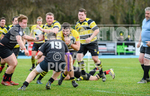St Jacques Vikings v Andover RFC-34