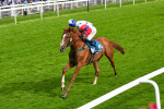 150723-Race 6-Robert Johnson-0644