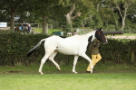 SBM_68546