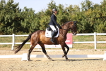 SBM_006737