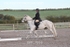 BPP_7855