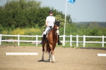 SBM_007983