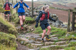 Langdale -1484