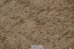 250719A-161001-08091