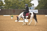 SBM_00462