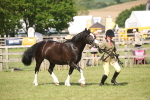 SBM_09232