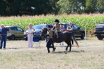 WJ6_7975