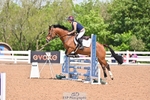 Cls 19 85cm Amateur Qualifier portfolio