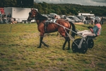 DSCF7458