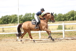 SBM_003533